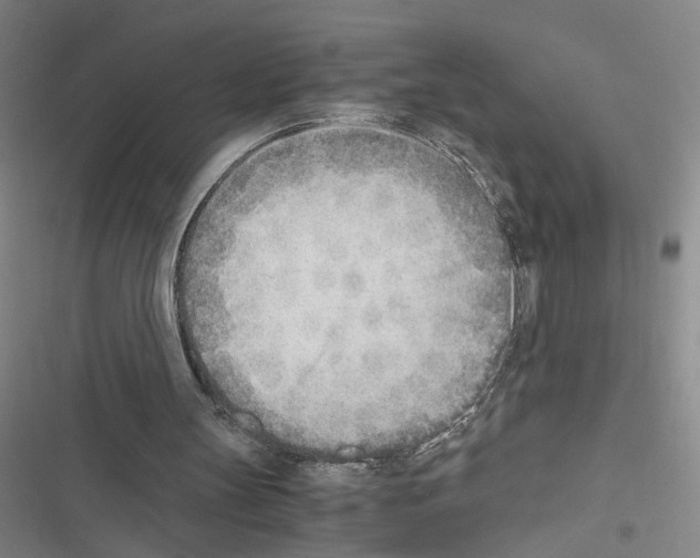 X0000116460147201001201307