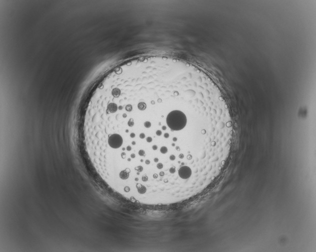 X0000116460149201001201307