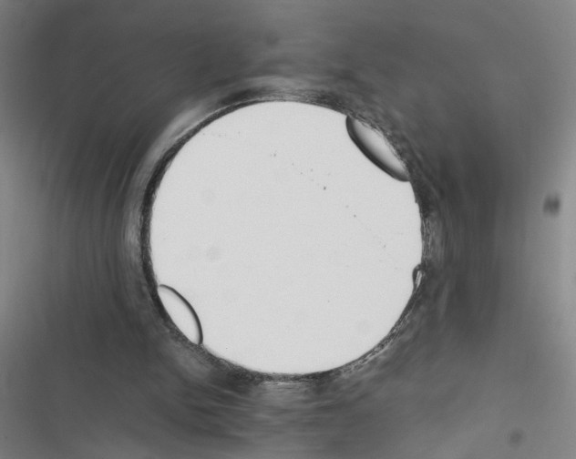 X0000116460150201001201307