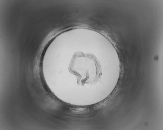 X0000116460151201001201307