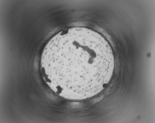 X0000116460153201001201307