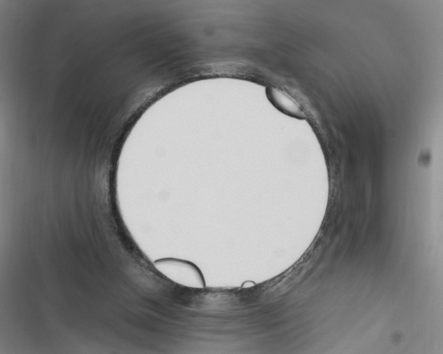 X0000116460154201001201307