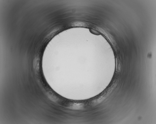 X0000116460157201001201307