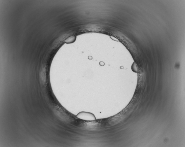X0000116460158201001201307