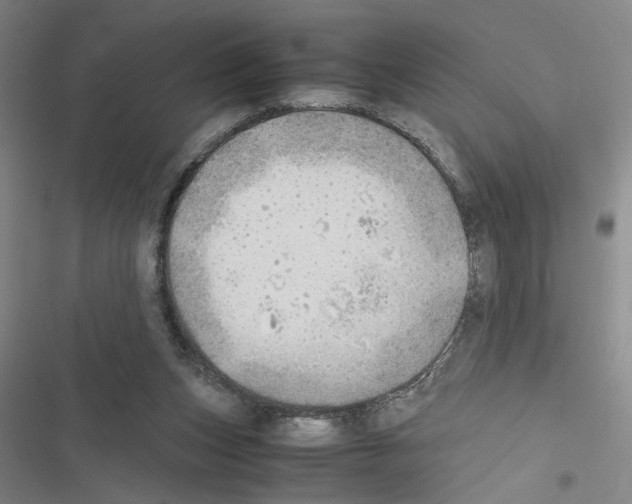X0000116460159201001201307