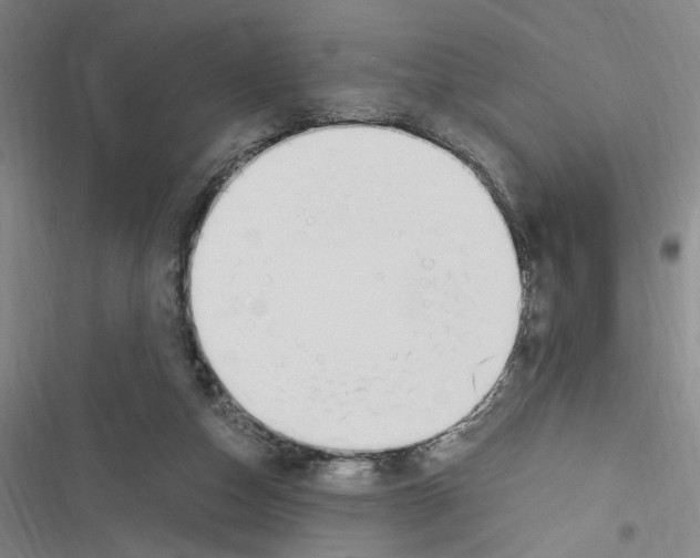 X0000116460162201001201307