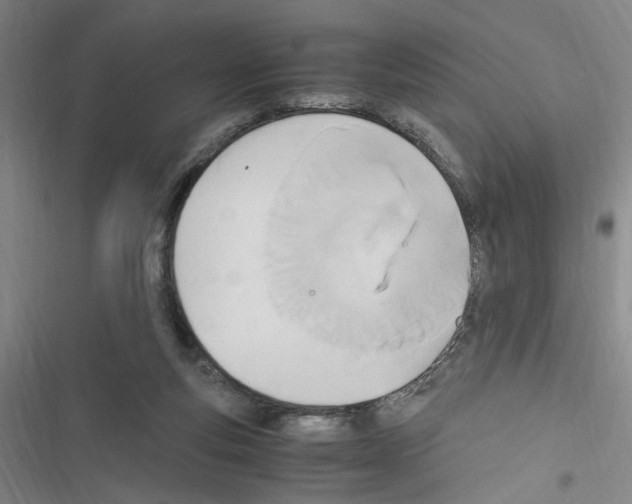 X0000116460163201001201307