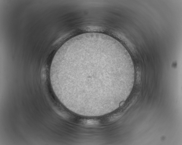 X0000116460165201001201307