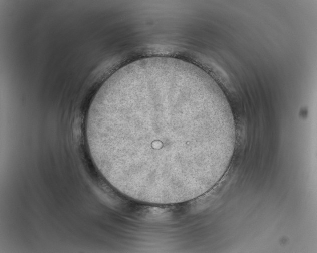 X0000116460166201001201307