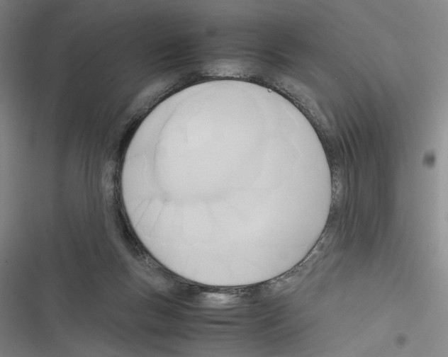 X0000116460167201001201307