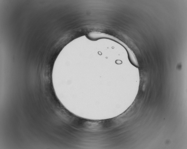 X0000116460170201001201308