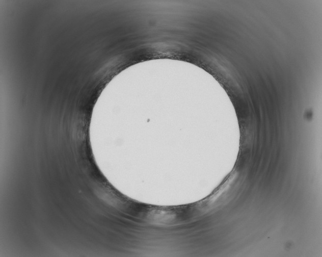 X0000116460174201001201308