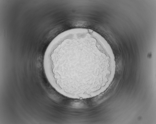 X0000116460175201001201308