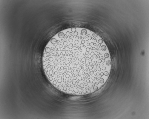 X0000116460178201001201308