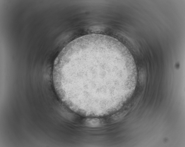 X0000116460181201001201308