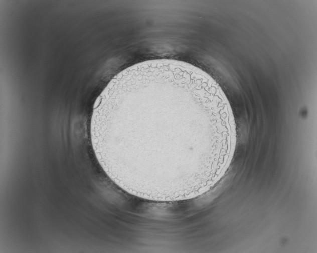 X0000116460182201001201308