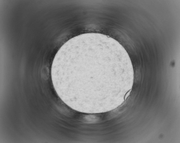 X0000116460183201001201308