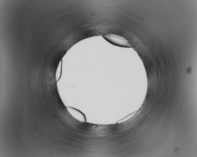 X0000116460186201001201308