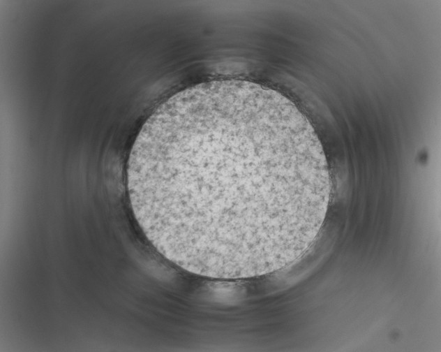 X0000116460187201001201308