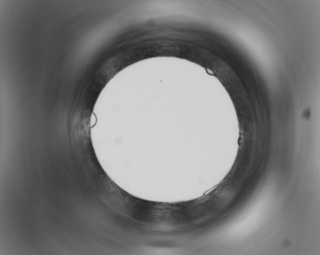 X0000116460190201001201308