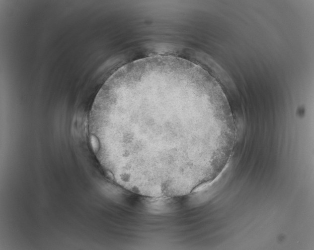 X0000116460191201001201308
