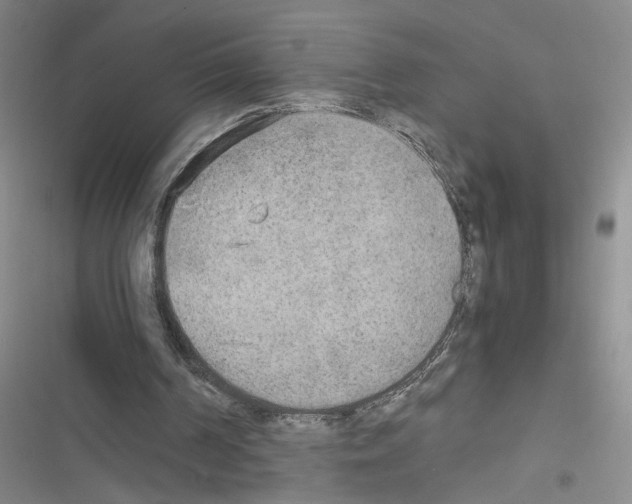 X0000116460194201001201307