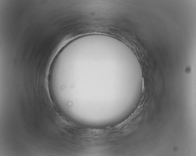 X0000116460195201001201307