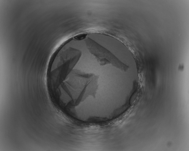 X0000116460196201001201307