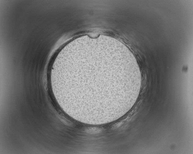 X0000116460198201001201307