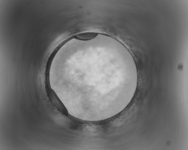 X0000116460199201001201307
