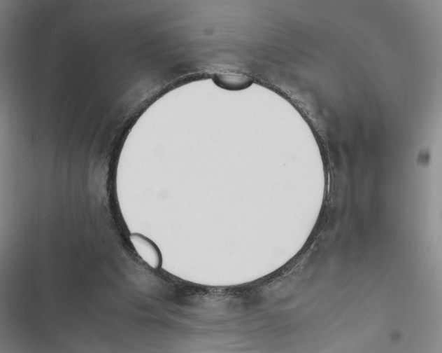 X0000116460201201001201307