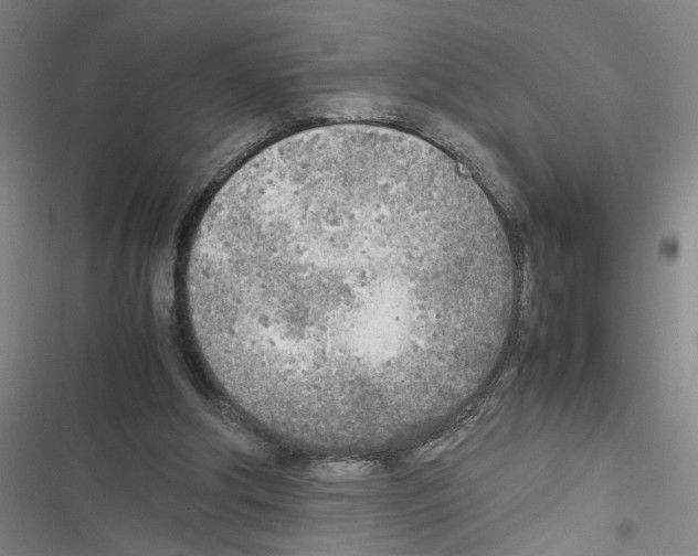X0000116460202201001201307