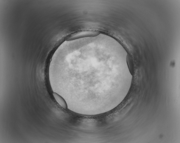 X0000116460203201001201307