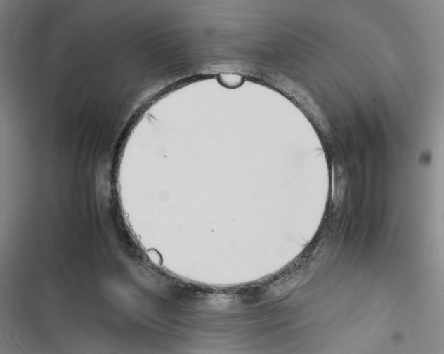 X0000116460204201001201307