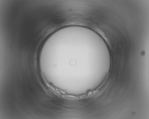 X0000116460205201001201307