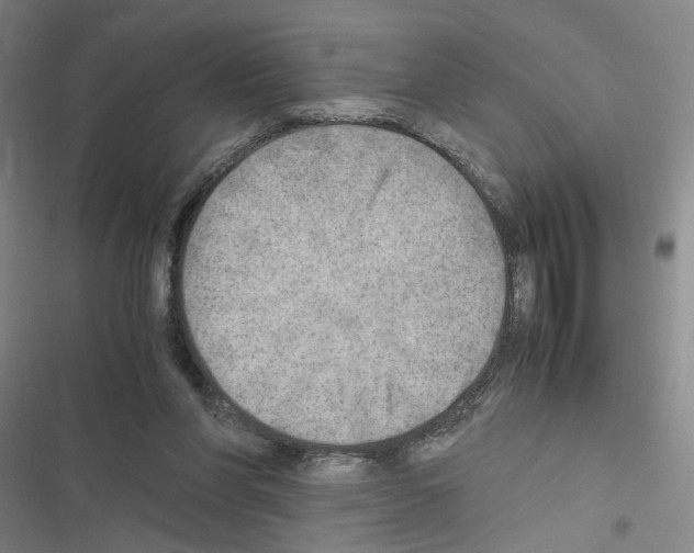 X0000116460206201001201307