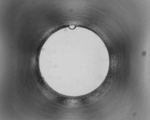 X0000116460208201001201307