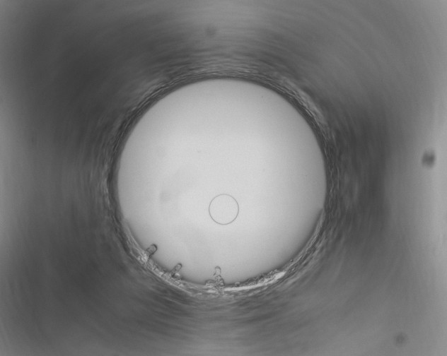 X0000116460209201001201307