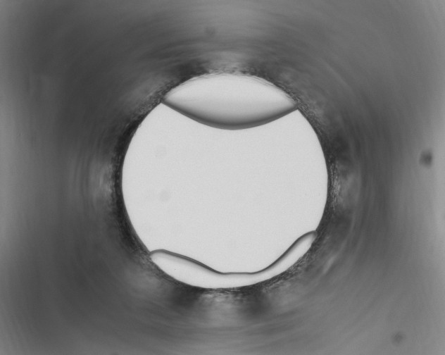 X0000116460211201001201307