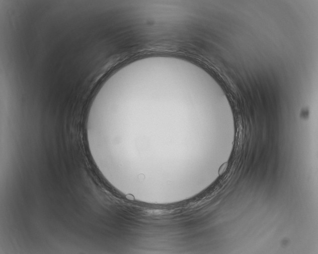 X0000116460212201001201307