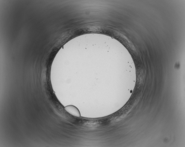 X0000116460213201001201307