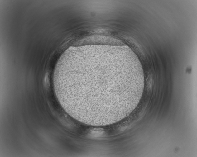 X0000116460214201001201307