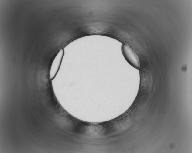 X0000116460215201001201307