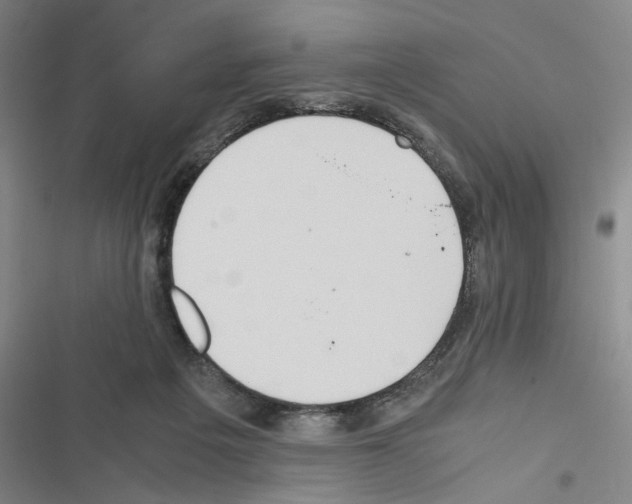 X0000116460217201001201307