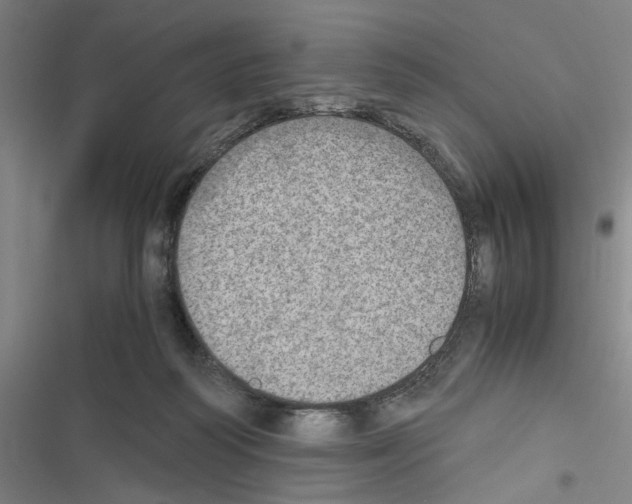 X0000116460218201001201307