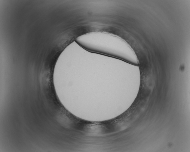 X0000116460219201001201307