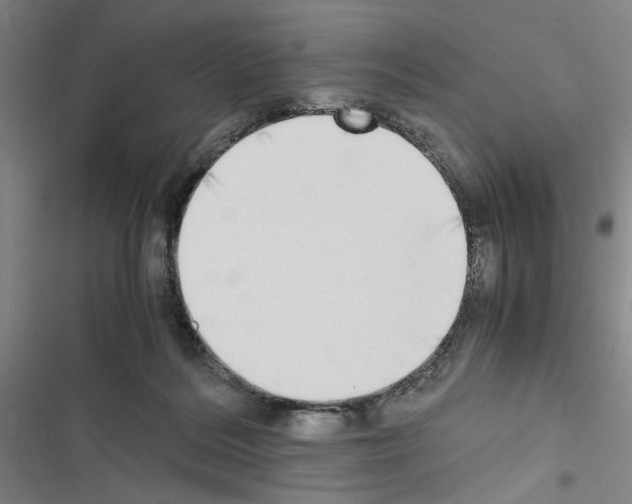 X0000116460220201001201307