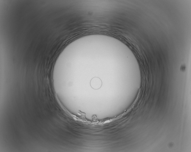 X0000116460221201001201307