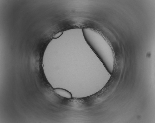 X0000116460223201001201307