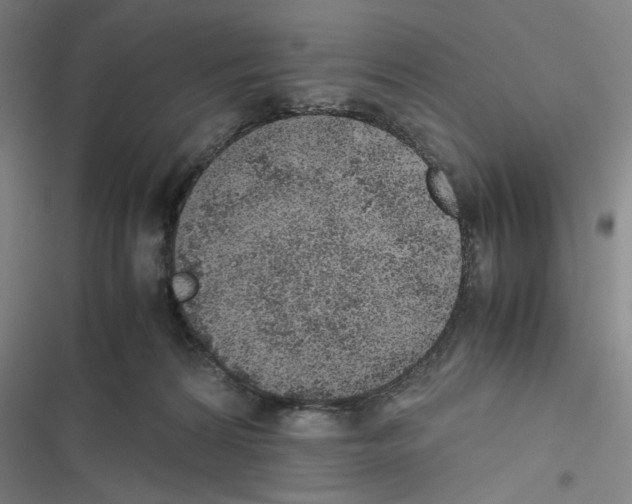 X0000116460224201001201307